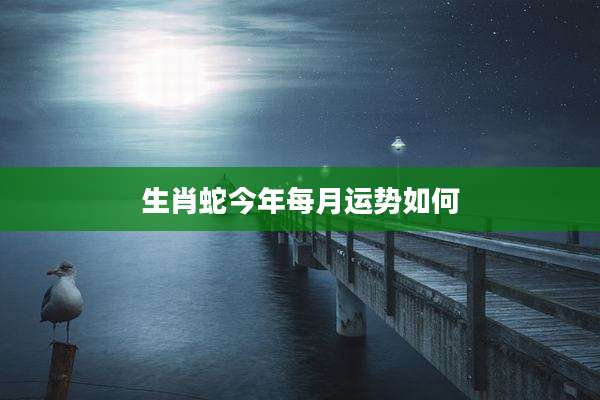 生肖蛇今年每月运势如何