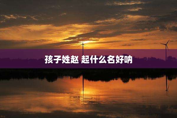 孩子姓赵 起什么名好呐