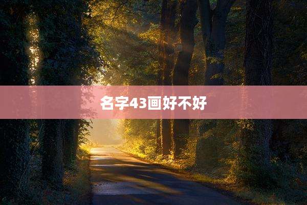 名字43画好不好