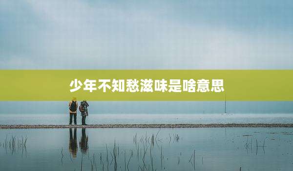 少年不知愁滋味是啥意思