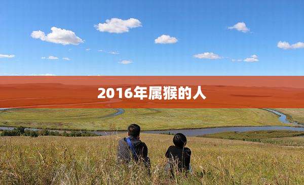 2016年属猴的人