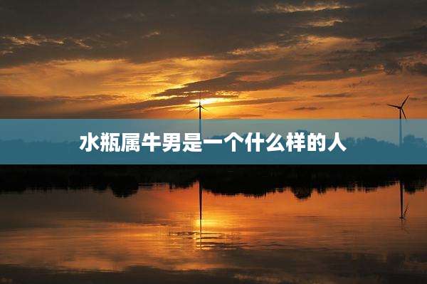水瓶属牛男是一个什么样的人