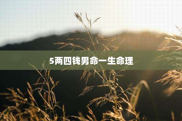 5两四钱男命一生命理