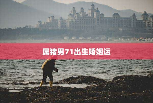属猪男71出生婚姻运