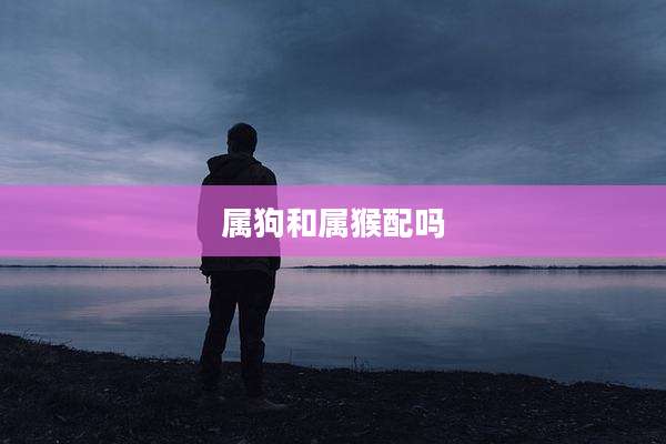 属狗和属猴配吗