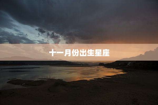 十一月份出生星座