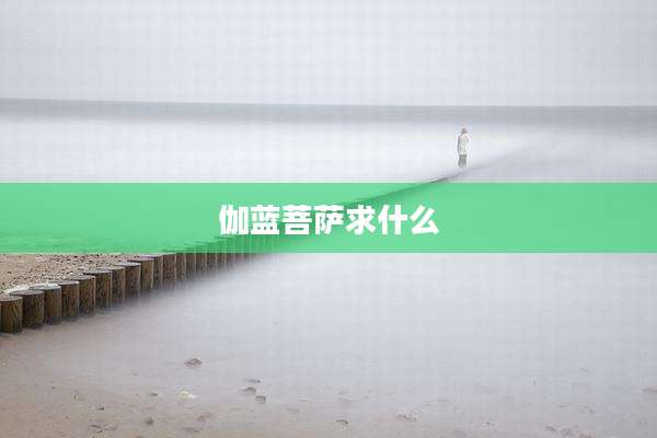 伽蓝菩萨求什么