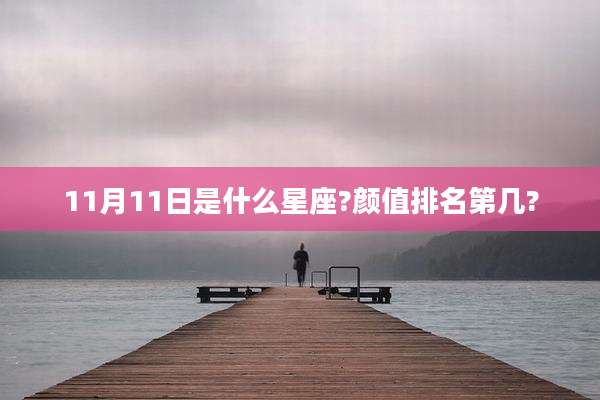 11月11日是什么星座?颜值排名第几?