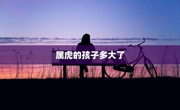 属虎的孩子多大了