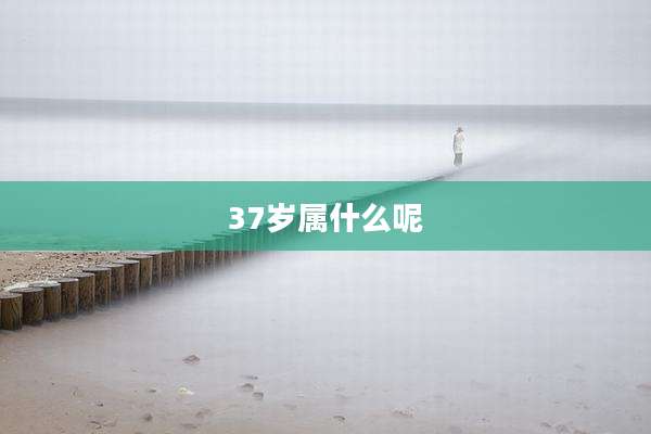 37岁属什么呢