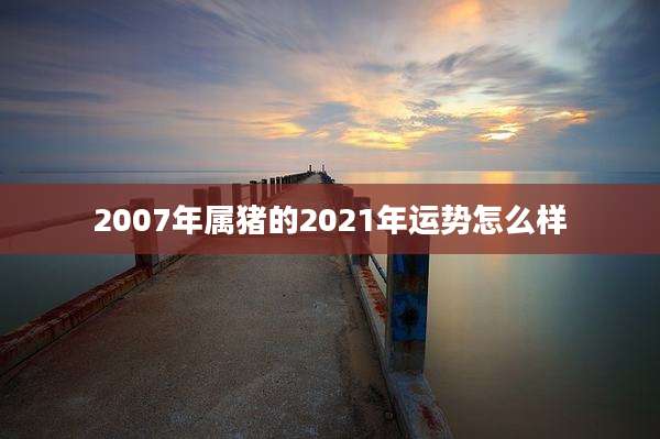 2007年属猪的2021年运势怎么样