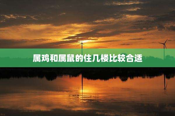 属鸡和属鼠的住几楼比较合适