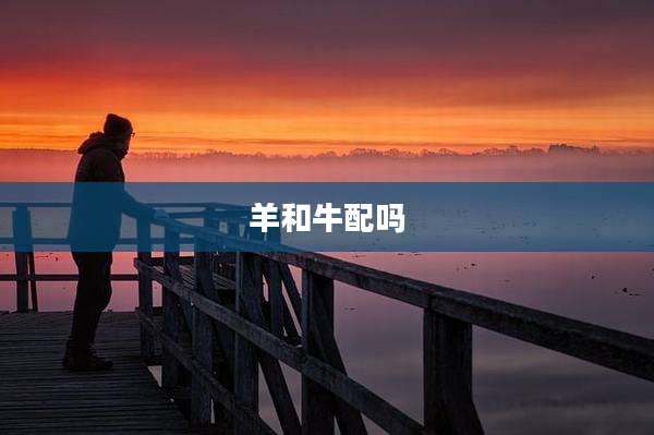 羊和牛配吗