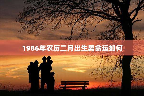 1986年农历二月出生男命运如何