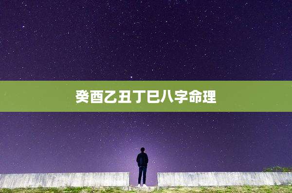 癸酉乙丑丁巳八字命理