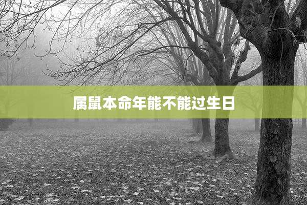 属鼠本命年能不能过生日
