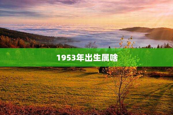 1953年出生属啥