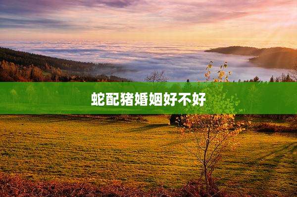 蛇配猪婚姻好不好