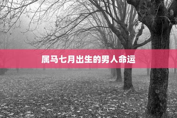 属马七月出生的男人命运