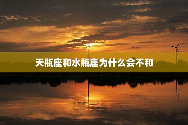 天瓶座和水瓶座为什么会不和