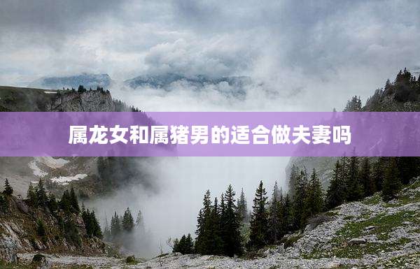 属龙女和属猪男的适合做夫妻吗