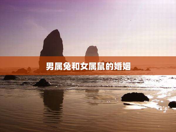 男属兔和女属鼠的婚姻