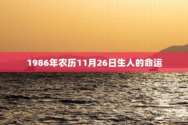 1986年农历11月26日生人的命运