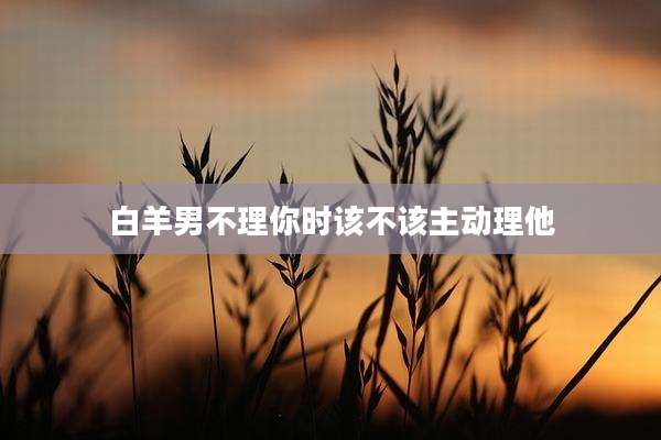 白羊男不理你时该不该主动理他