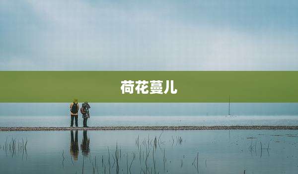 荷花蔓儿