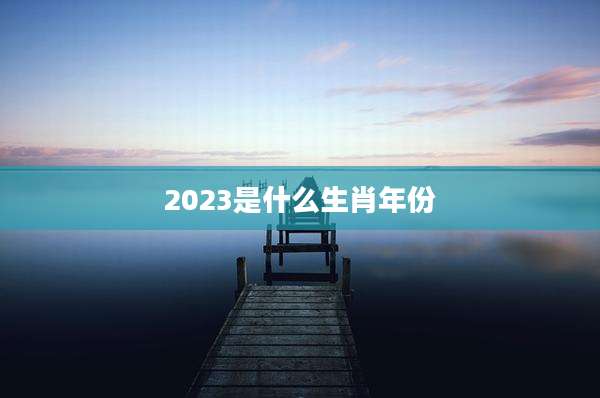 2023是什么生肖年份