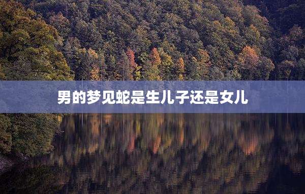 男的梦见蛇是生儿子还是女儿