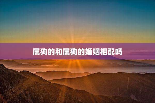 属狗的和属狗的婚姻相配吗