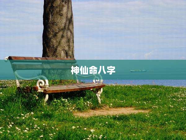神仙命八字