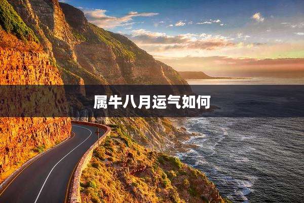 属牛八月运气如何