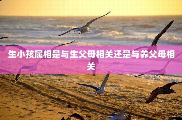 生小孩属相是与生父母相关还是与养父母相关