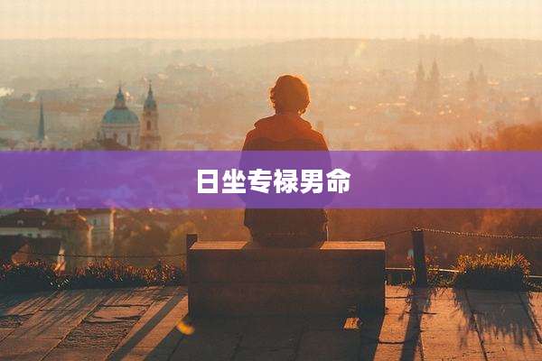 日坐专禄男命