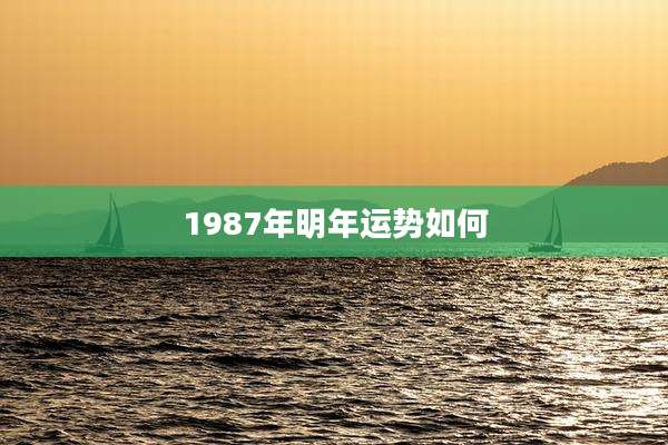 1987年明年运势如何