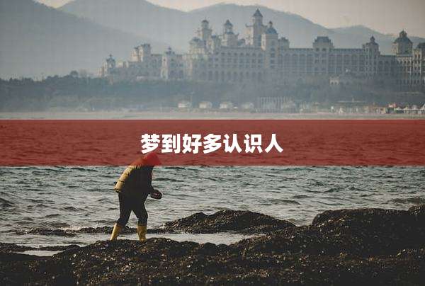 梦到好多认识人