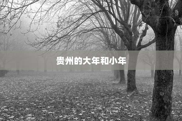 贵州的大年和小年