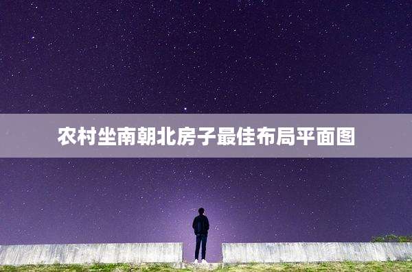 农村坐南朝北房子最佳布局平面图