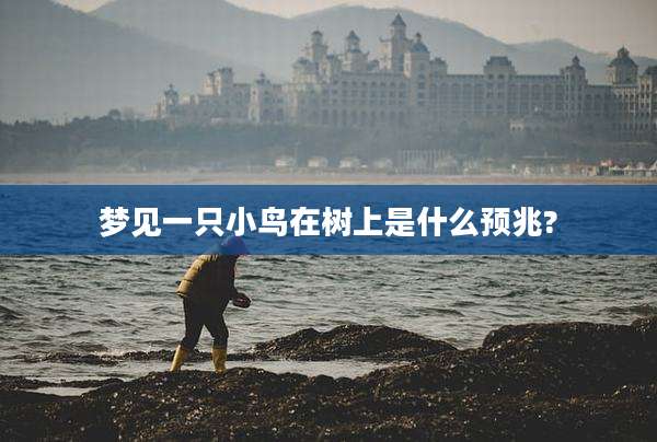 梦见一只小鸟在树上是什么预兆?