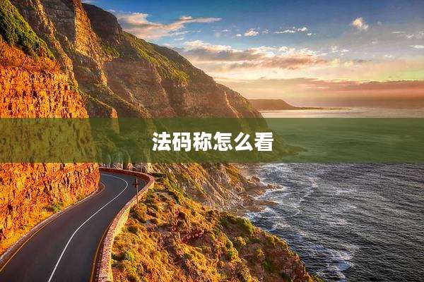 法码称怎么看