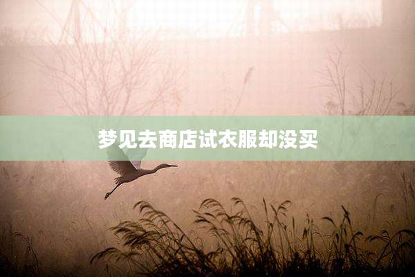 梦见去商店试衣服却没买