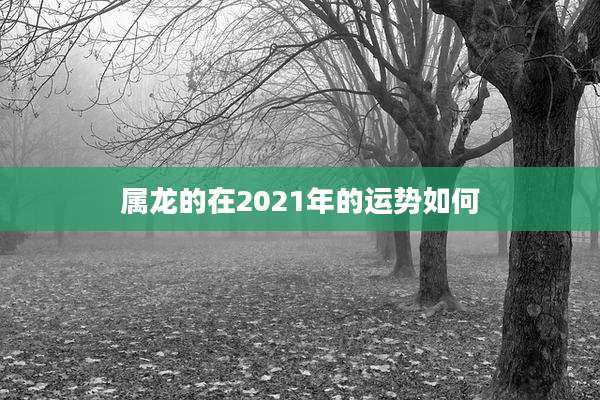 属龙的在2021年的运势如何