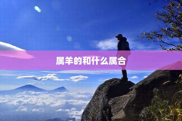 属羊的和什么属合