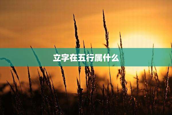 立字在五行属什么