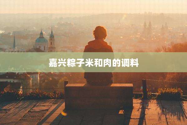 嘉兴粽子米和肉的调料