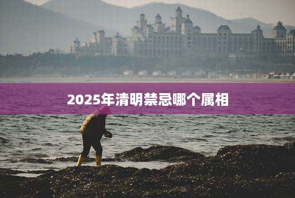 2025年清明禁忌哪个属相