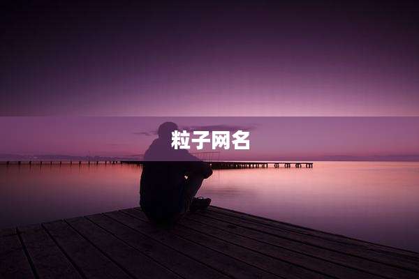 粒子网名