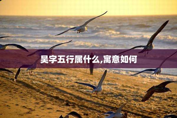 昊字五行属什么,寓意如何